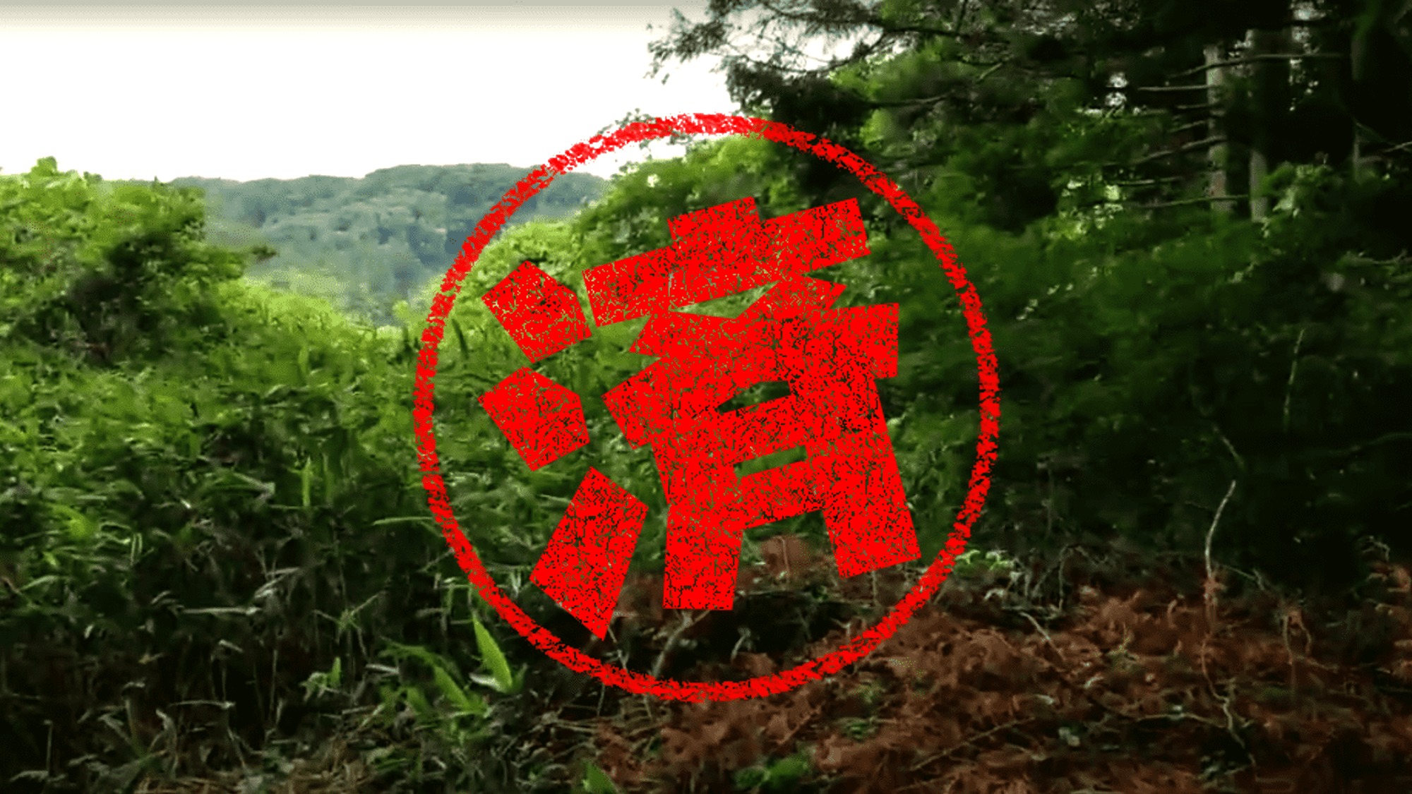 西郷村｜０円物件