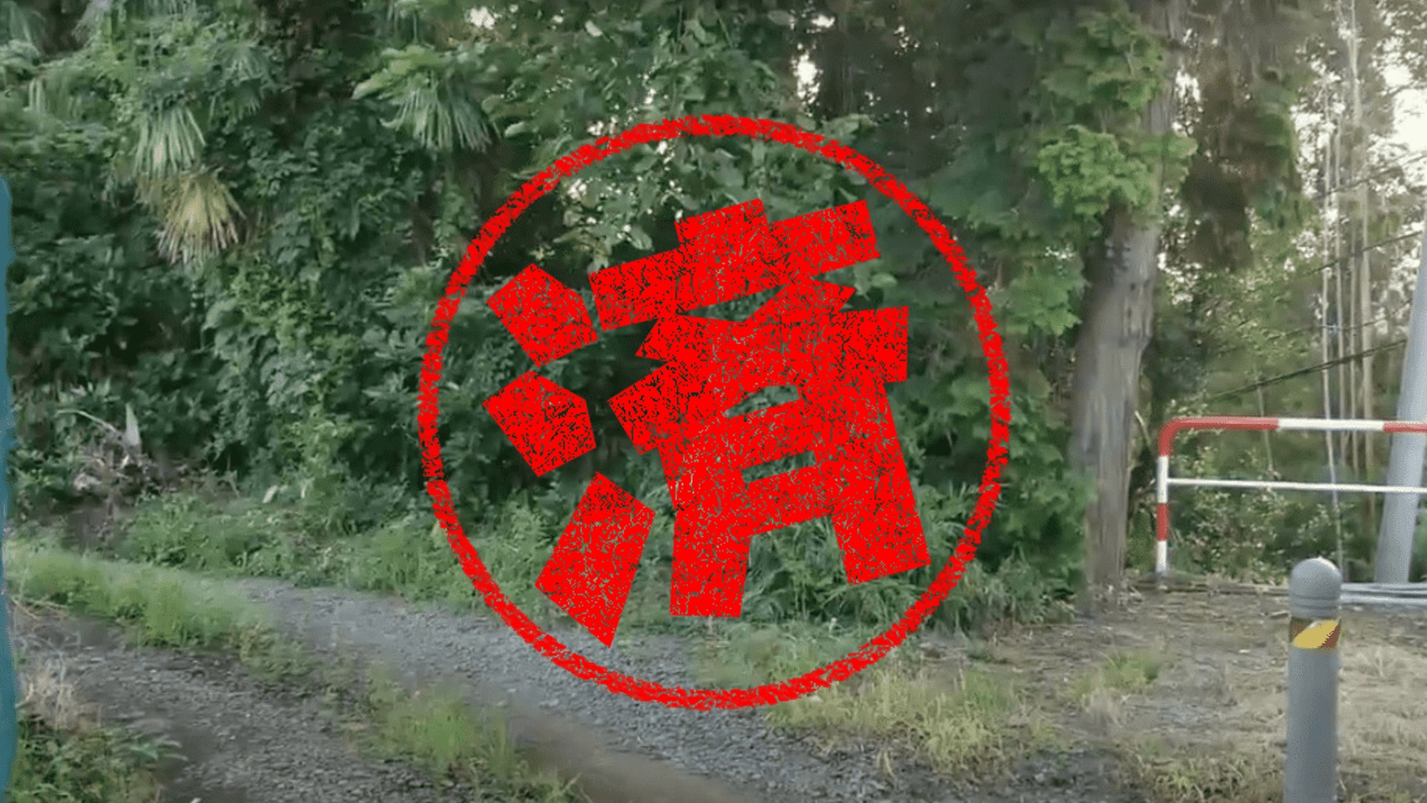 西俣野