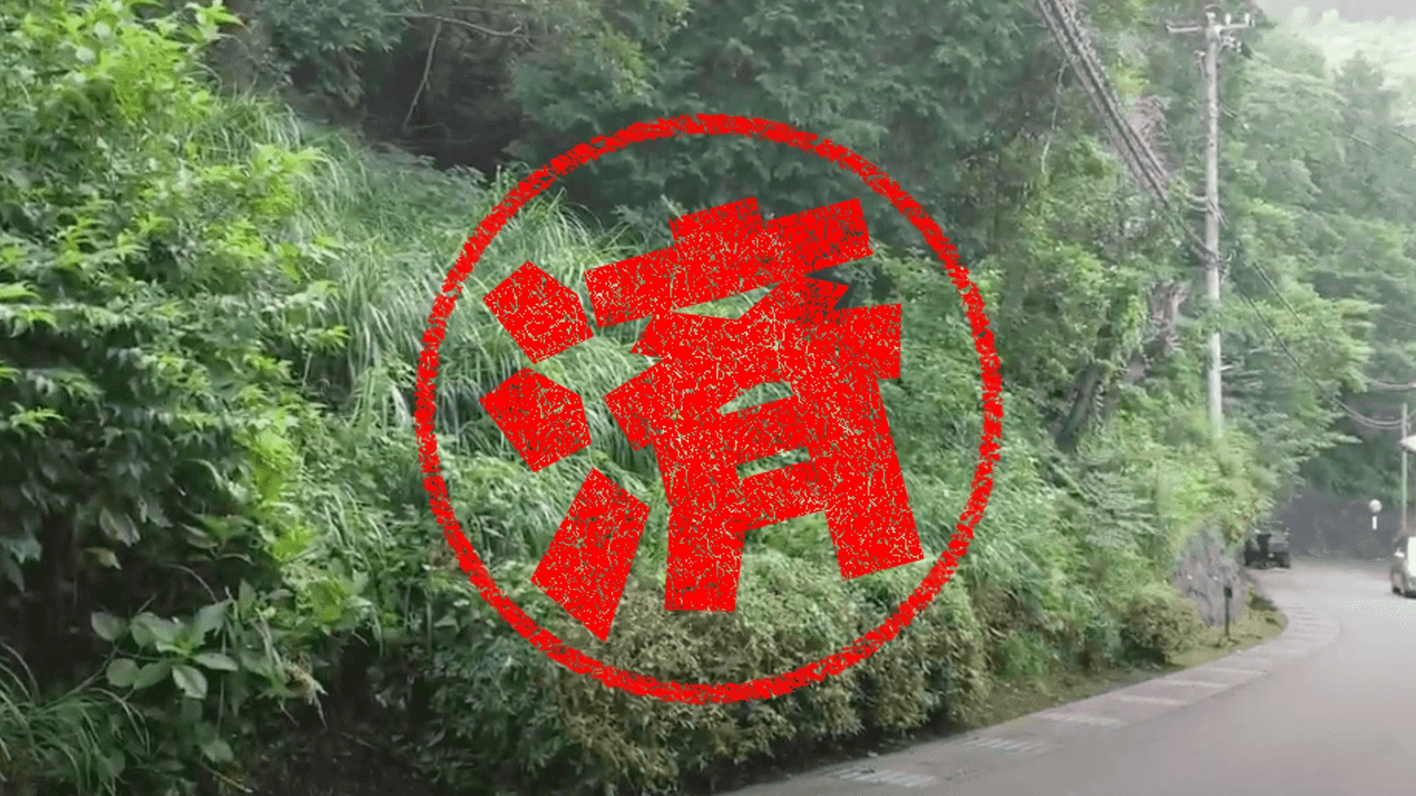 東伊豆町｜０円物件