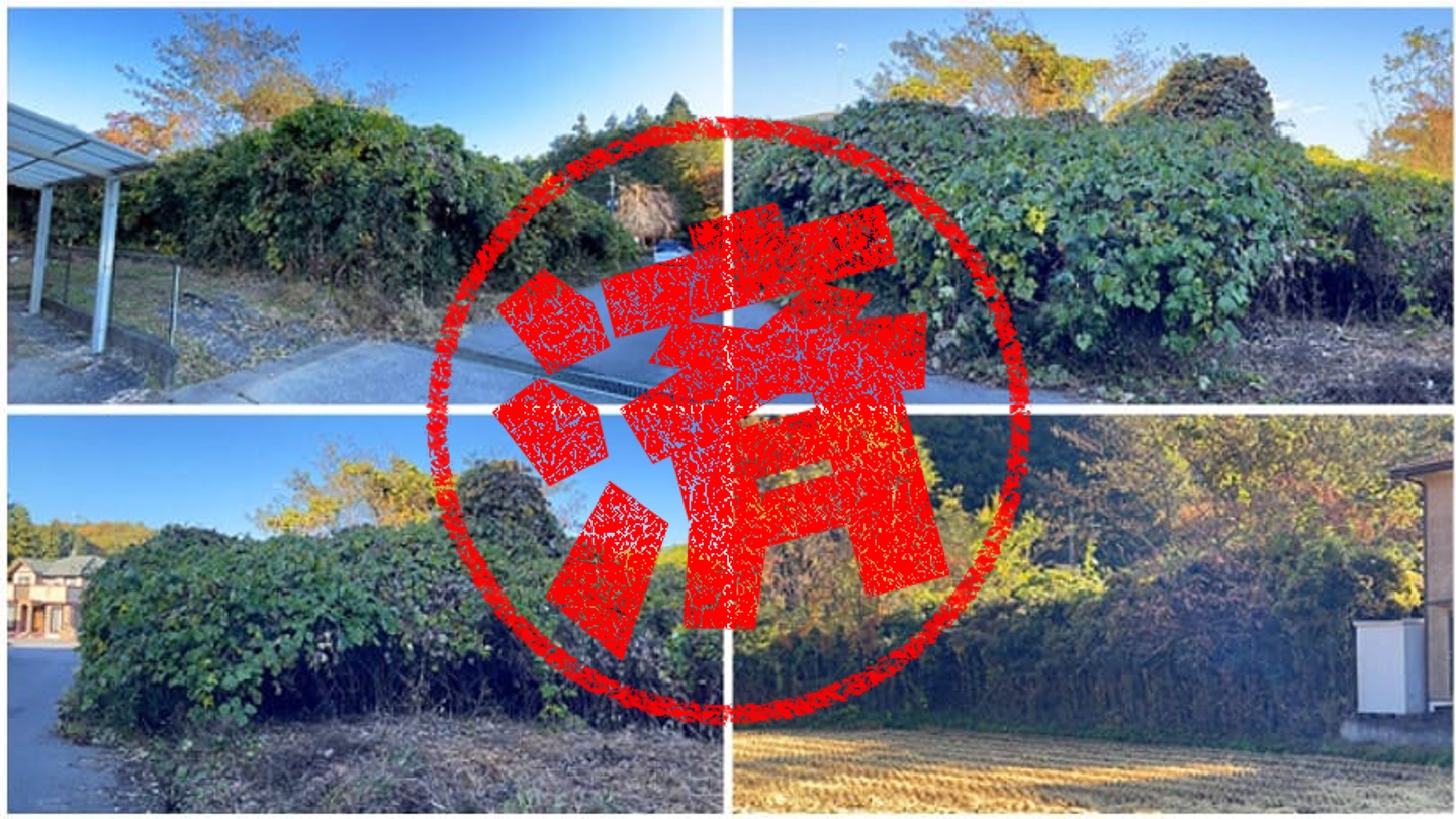 日光市｜０円物件